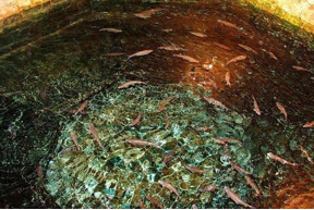 ویژگی های آرامگاه سعدی