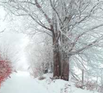 برف از دیدگاه شعرای ایران