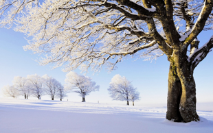 هوادلگیر؛درهابسته؛سرهادرگریبان…