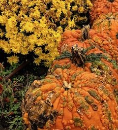 هالووین ؛سفر ارواح به جهانی دیگر!