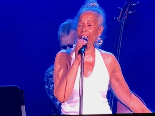 فستیوال بین المللی جاز –  مونترآل مرکز تپش موسیقی جاز در جهان