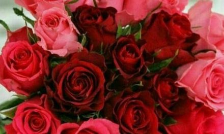 والنتین روز عشق