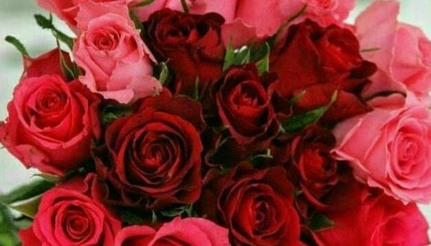 والنتین روز عشق