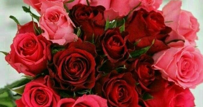 والنتین روز عشق