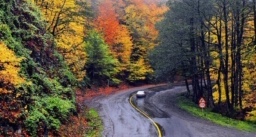 به کجا می روید ؟