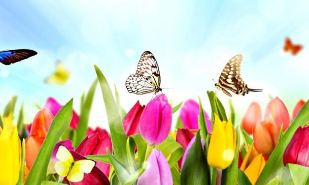 نوروز در ادبیات فارسی