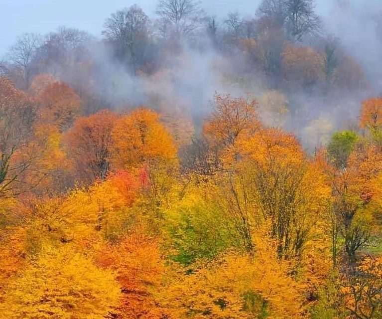 برگریزان
