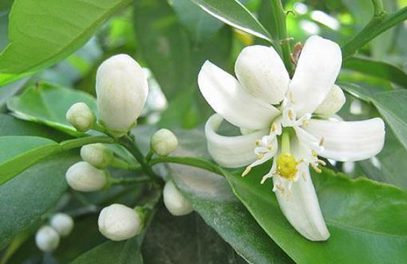 پیام نوروز…