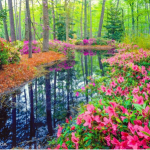 خُرَّمیِ خِرَد در خُرداد