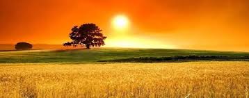 تابستان در شعر فارسی