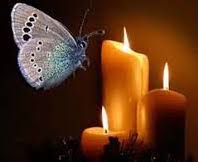 هر کسی سوزد به نوعی در غمِ جانانه‌ای