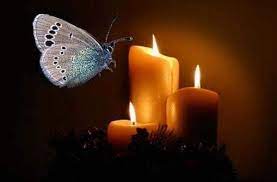 شمع و پروانه در ادبیات فارسی